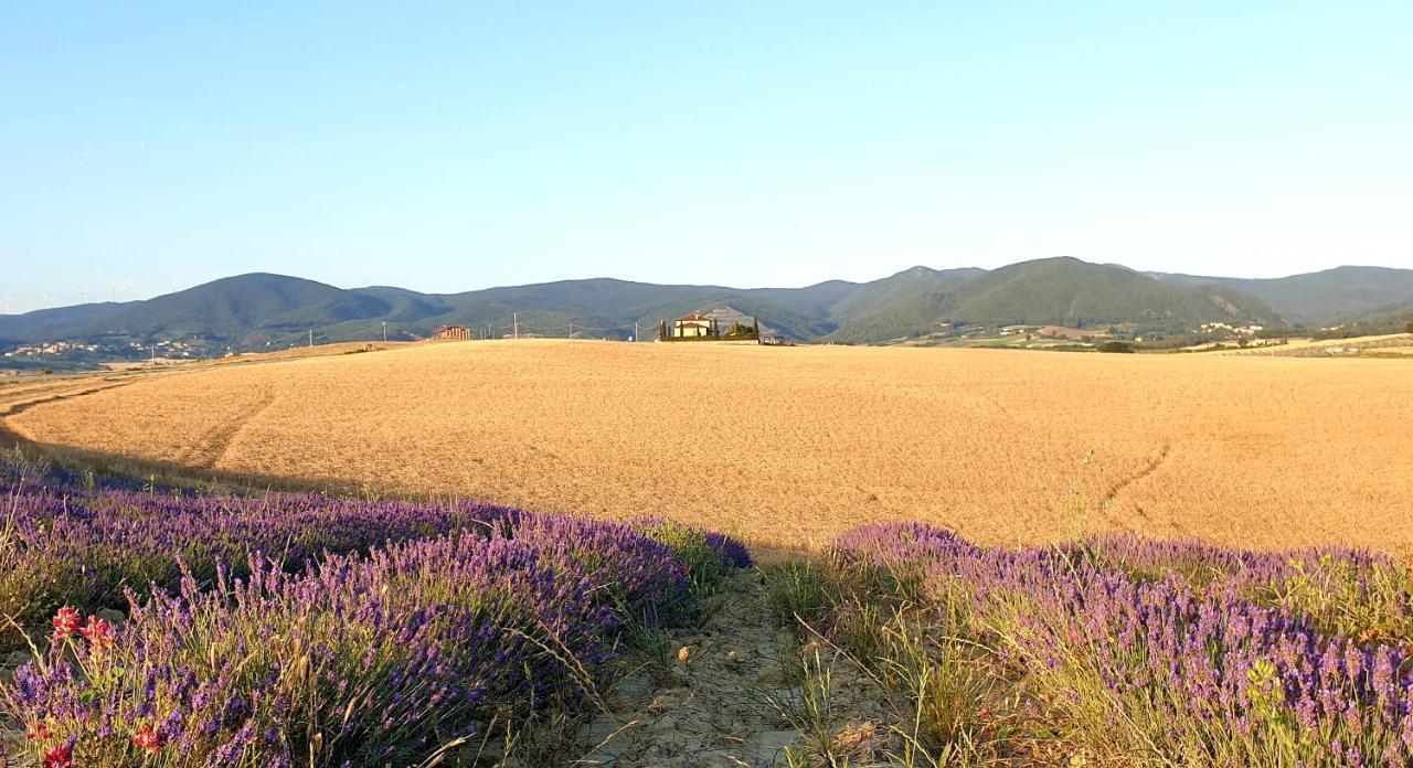 Agriturismo L'Impero Santa Luce Exterior photo